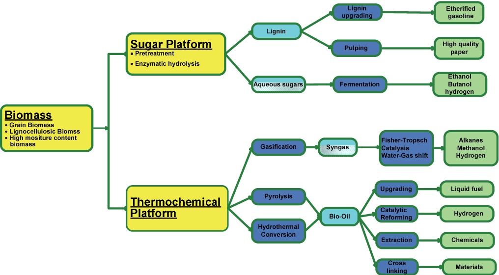 biomass processing conversion and biorefinery